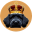 King Myro project favicon