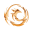 project favicon