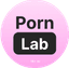 PornLab project favicon